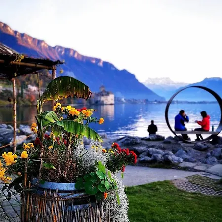 Studio 5 Places A Deux Pas Du Lac Territet